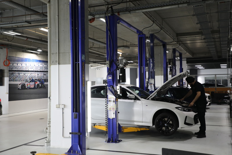 Cavalo expert mechanic working