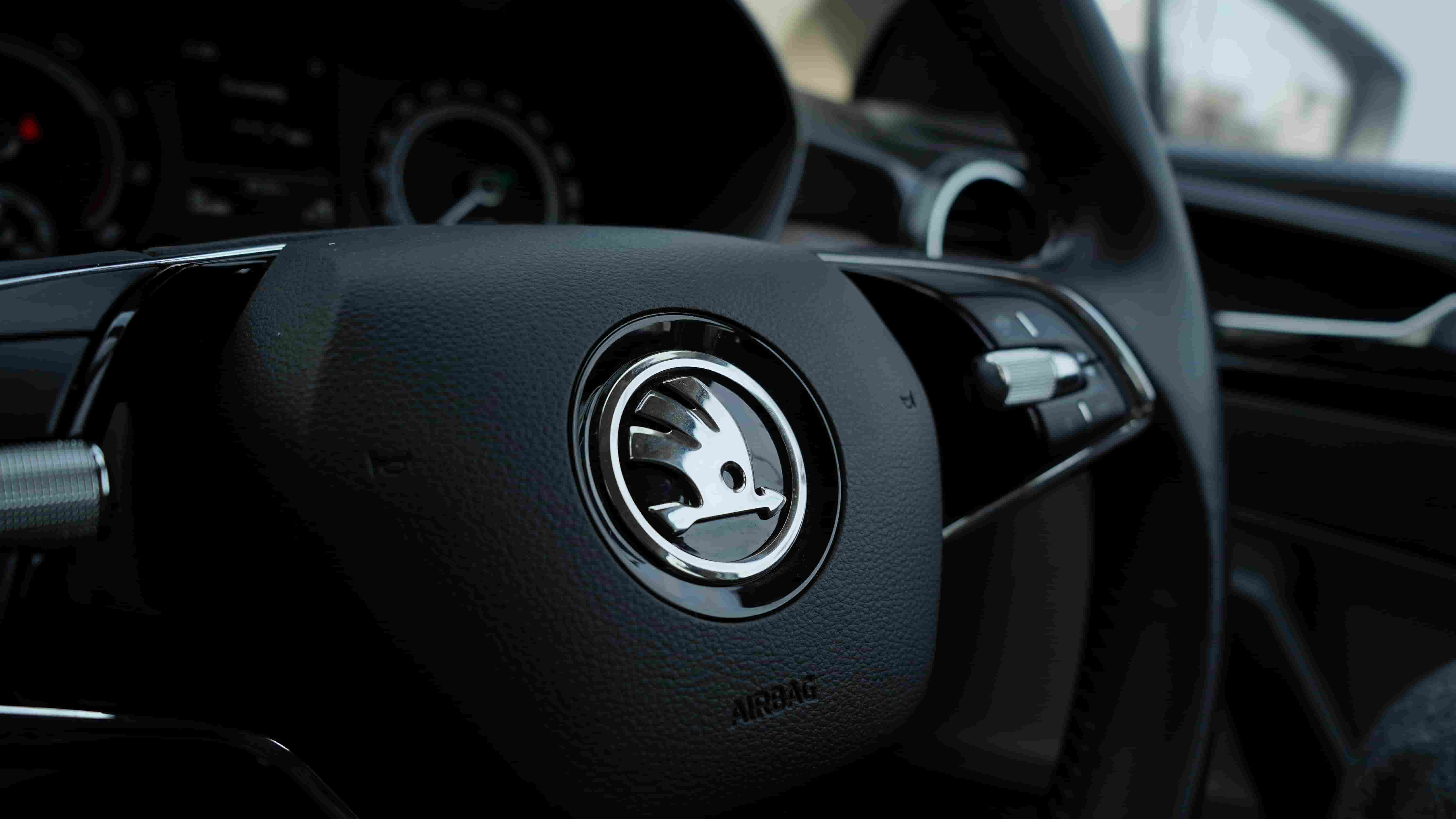 Skoda logo on steering wheel